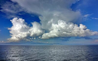 Cine club in Bath Tuesday 26/05/2026